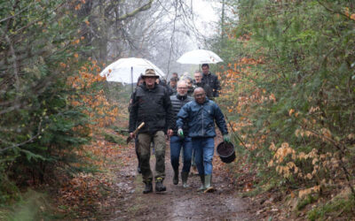 De eerste van 1000 bomen door iquality geplant om MVO doelen te halen