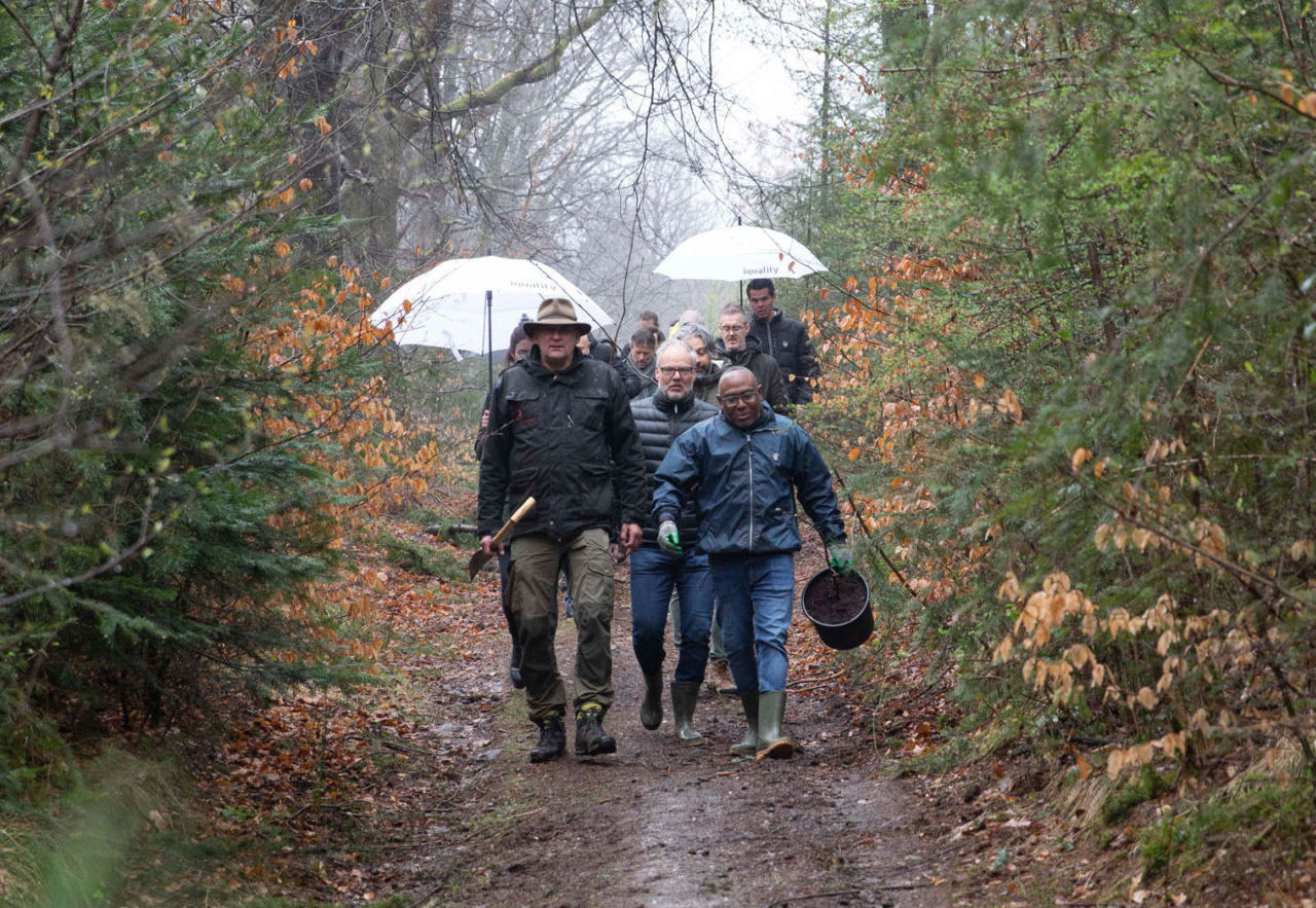 eerste bomen geplant door Iquality