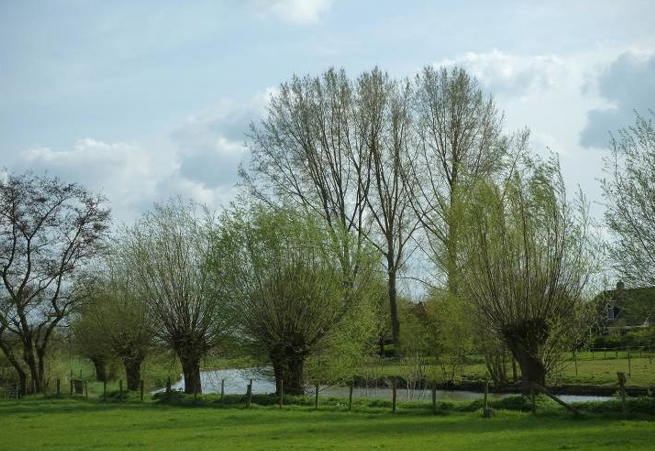 kleine landschapelementen in de provincie Utrecht samen met Stichting StukjeNatuur