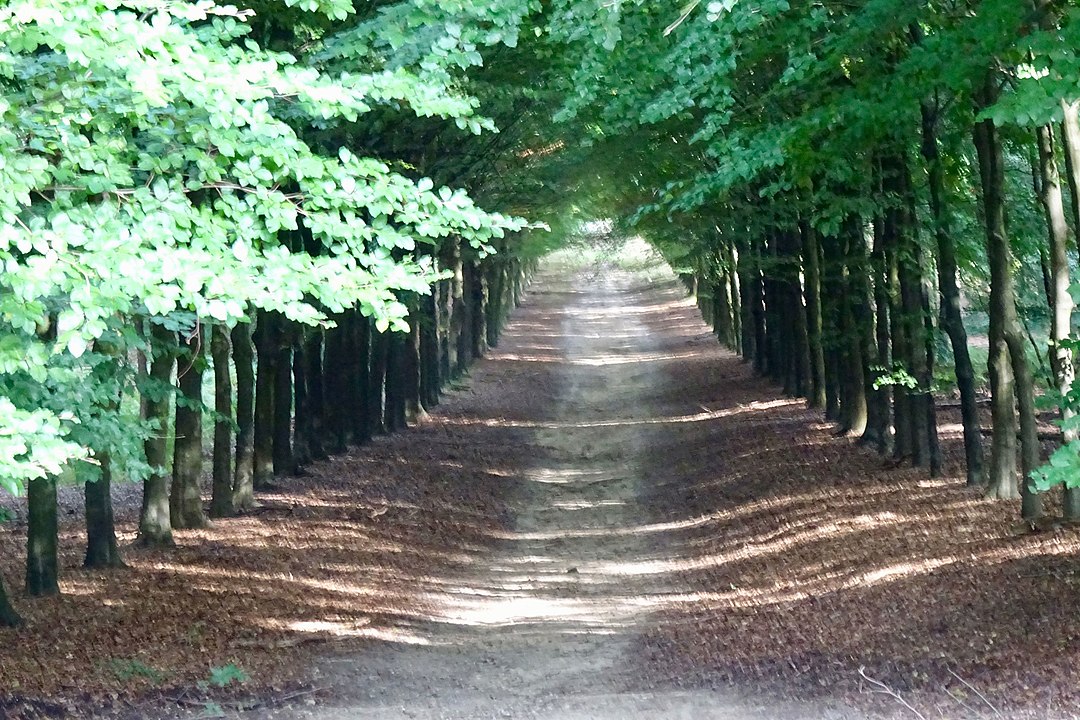 vier nieuwe bossen in Gelderland met Stichting StukjeNatuur