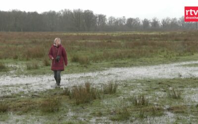 Herstel van ‘t Anlooërdiepje in Drenthe