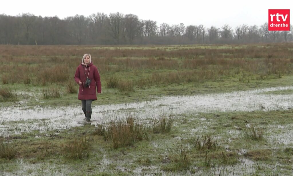 Herstel van ‘t Anlooërdiepje in Drenthe