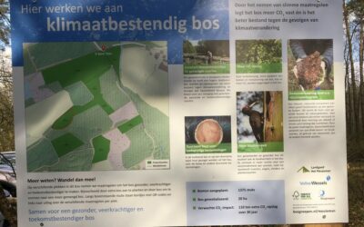 Klimaatbestendig bos in Het Meuleman