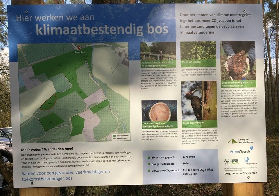 Klimaatbestendig bos in Het Meuleman