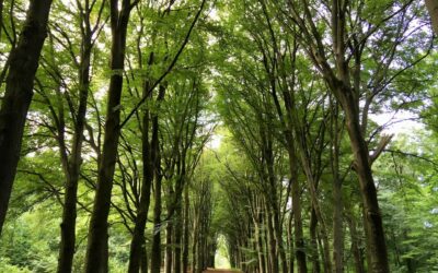 Hof te Dieren (Gelderland)