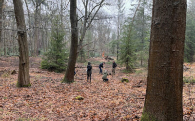 Dekkerswald (Gelderland)