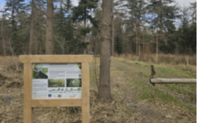 Bosschoord (Drenthe)