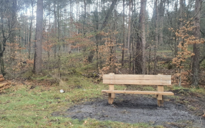 Bossen Epe (Gelderland)