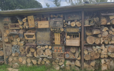 Bussloo Out of the Office  (Gelderland)