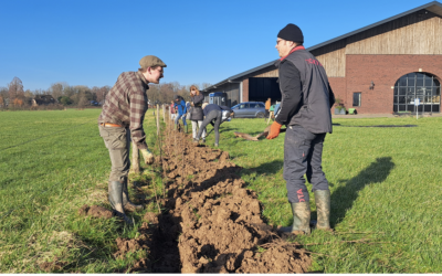 De Brummenaer (Gelderland)