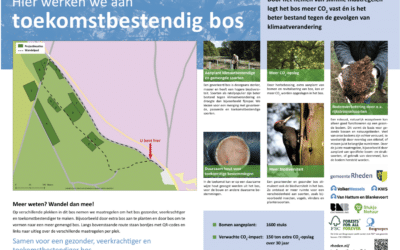 Gemeentebos Rheden (Gelderland)