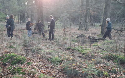 Landgoed Glaszhorst (Gelderland)